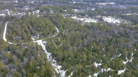 Lot 21 Plains Road Harrison ME 04040