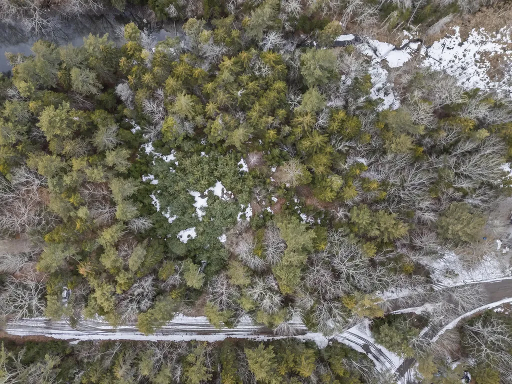 Lot 18 Pasture Road Phippsburg ME 04562