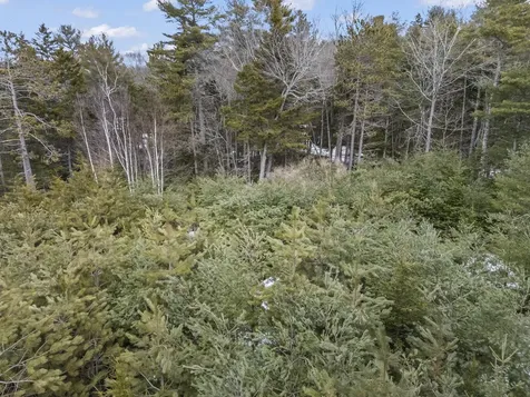 Lot 18 Pasture Road Phippsburg ME 04562