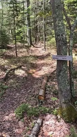 Lot 18 Pasture Road Phippsburg ME 04562