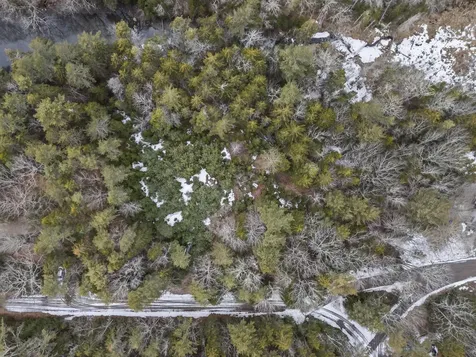 Lot 18 Pasture Road Phippsburg ME 04562