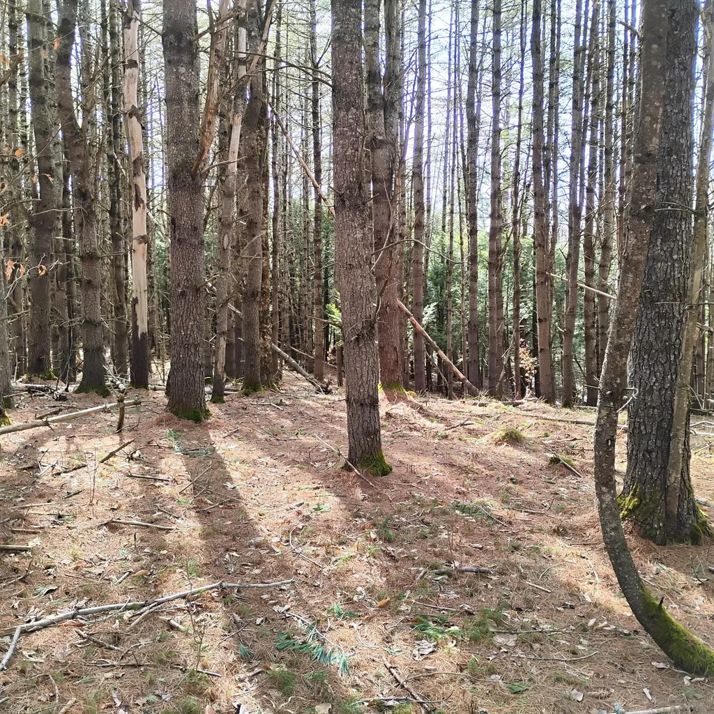 Lot 2 Father Rasle Road Norridgewock ME 04957