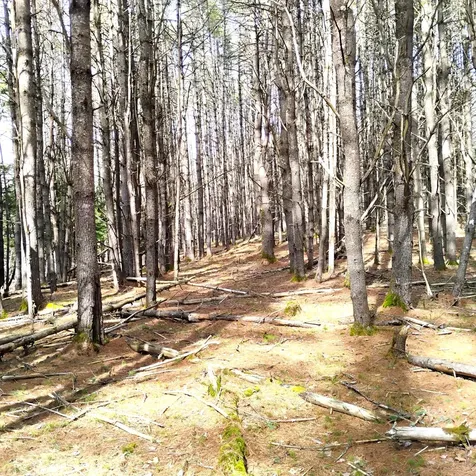 Lot 2 Father Rasle Road Norridgewock ME 04957