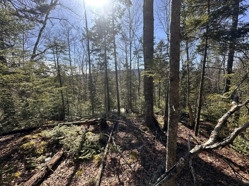 237 Knights Pond Road Northport ME 04849