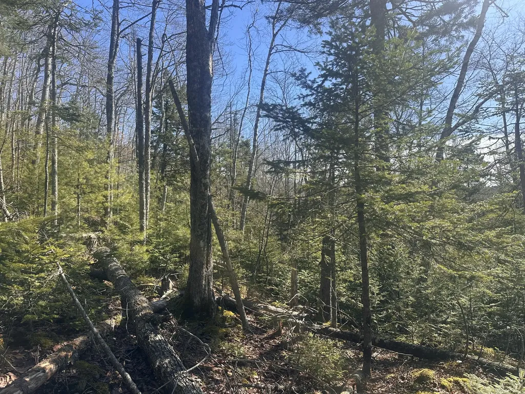 237 Knights Pond Road Northport ME 04849