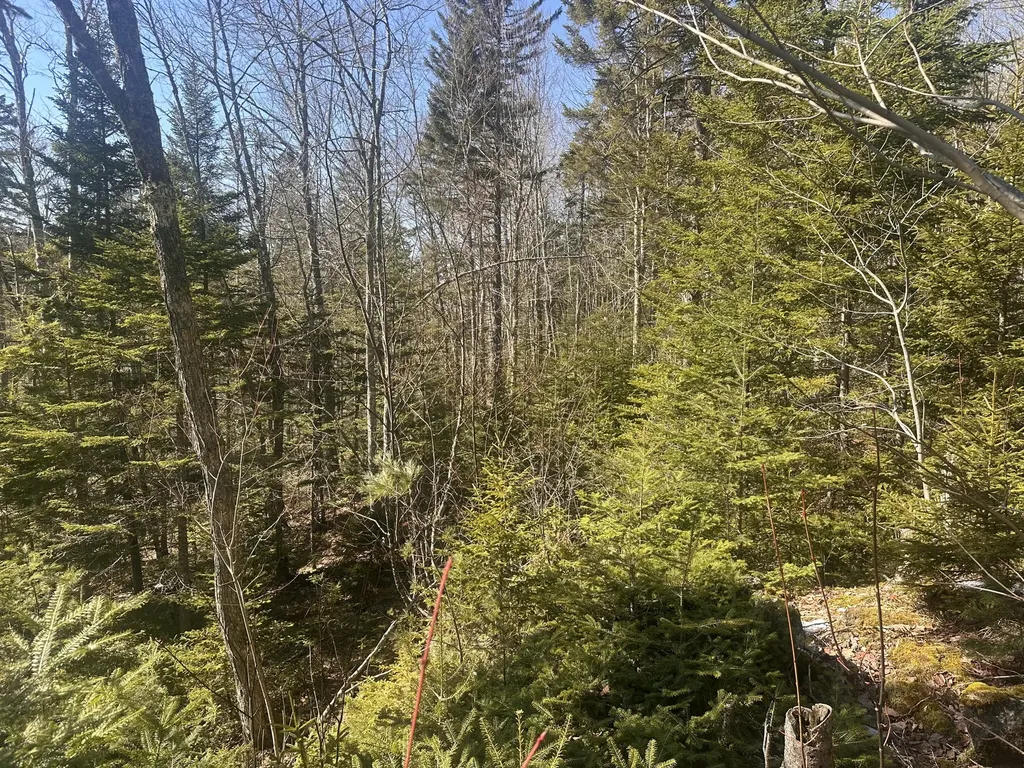 237 Knights Pond Road Northport ME 04849