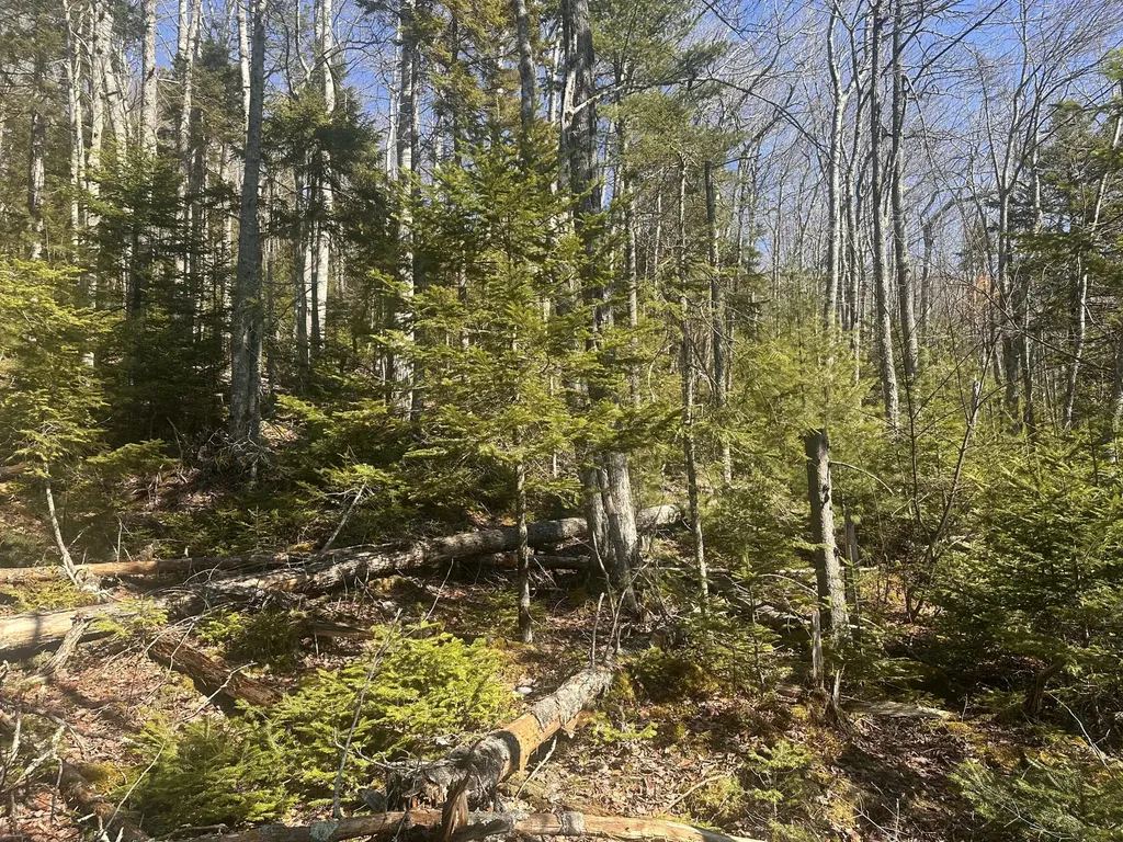 237 Knights Pond Road Northport ME 04849