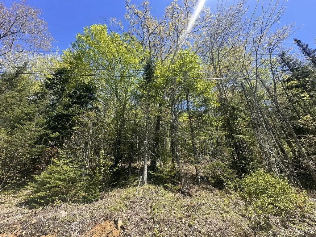 237 Knights Pond Road Northport ME 04849