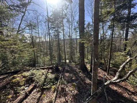 237 Knights Pond Road Northport ME 04849