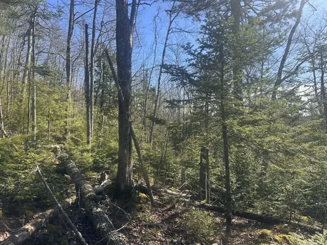 237 Knights Pond Road Northport ME 04849