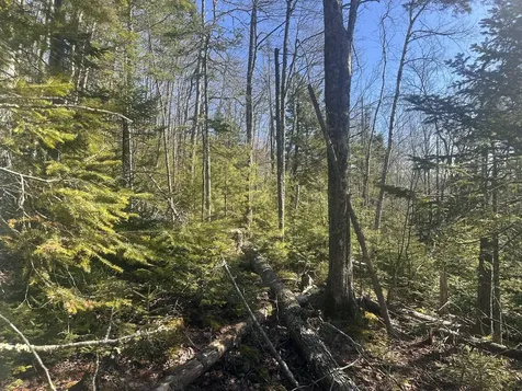 237 Knights Pond Road Northport ME 04849