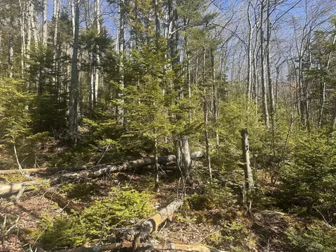 237 Knights Pond Road Northport ME 04849