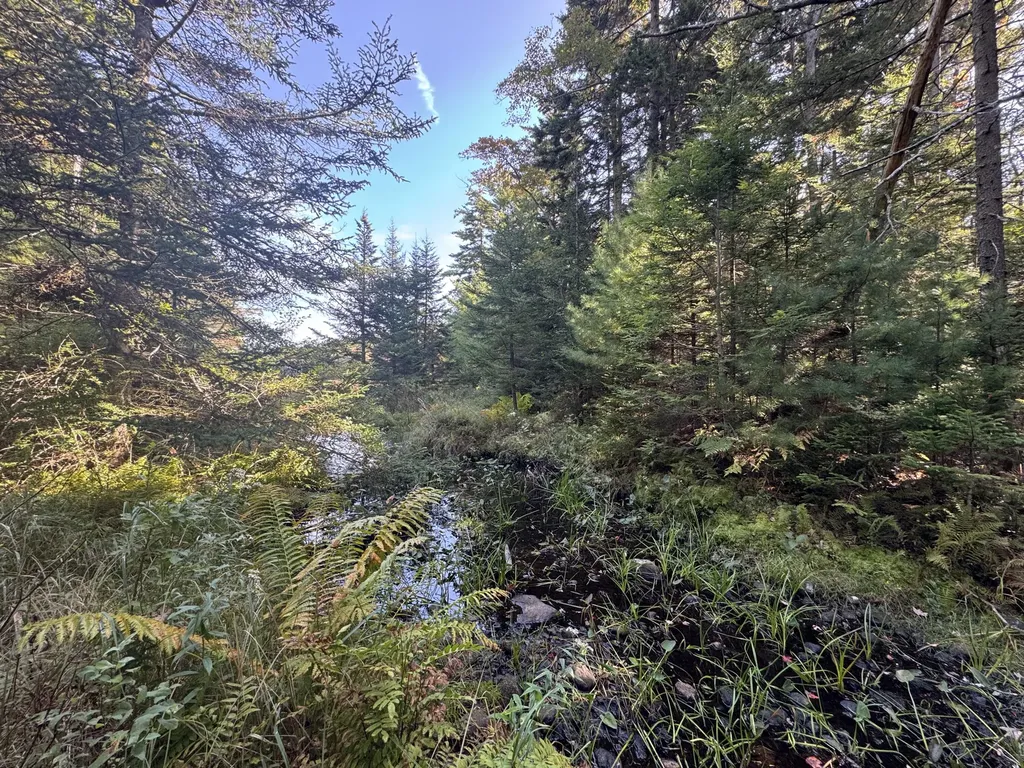 0 Main Road Phippsburg ME 04565