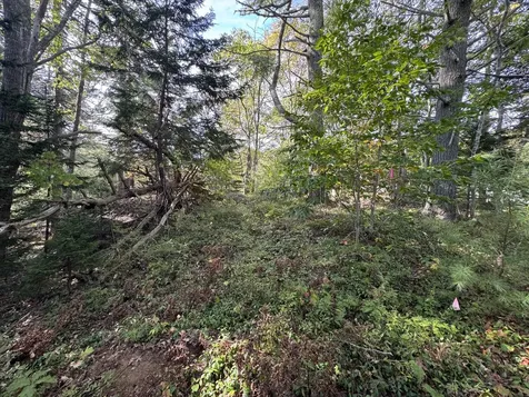 0 Main Road Phippsburg ME 04565