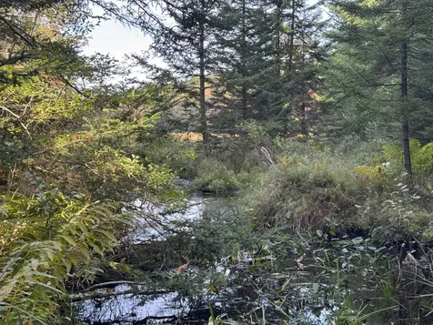 0 Main Road Phippsburg ME 04565