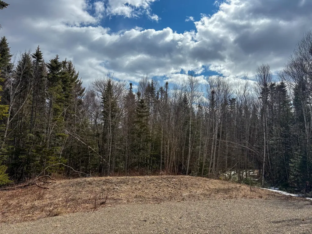 Lot #14 Pidgeon Point Road Whiting ME 04691