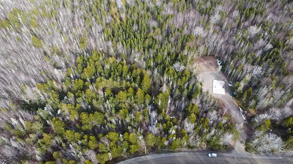 Lot #14 Pidgeon Point Road Whiting ME 04691
