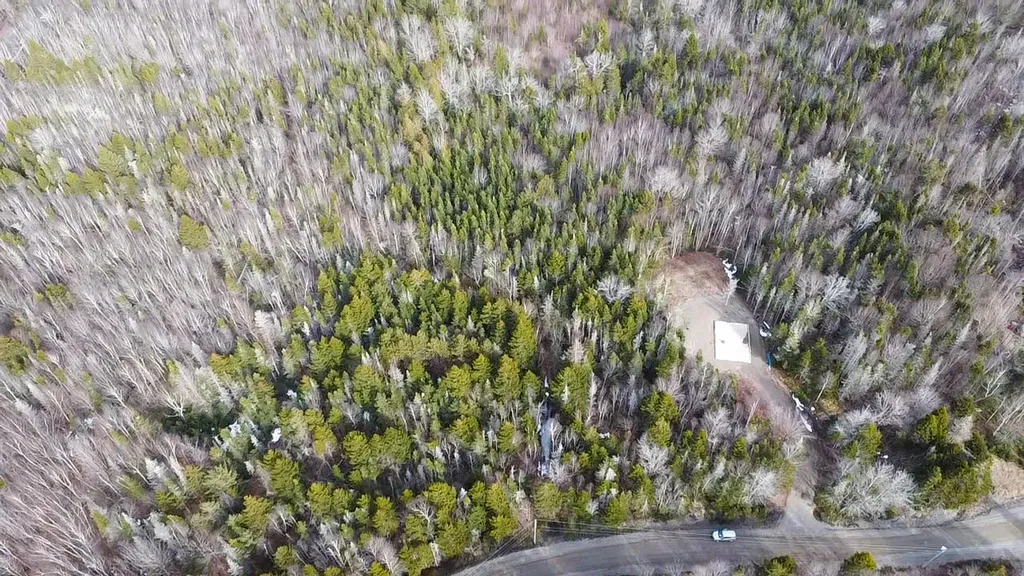 Lot #14 Pidgeon Point Road Whiting ME 04691