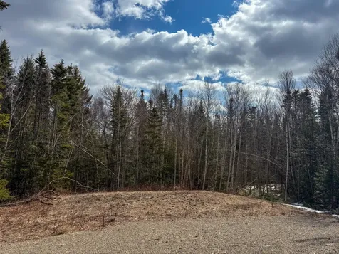 Lot #14 Pidgeon Point Road Whiting ME 04691