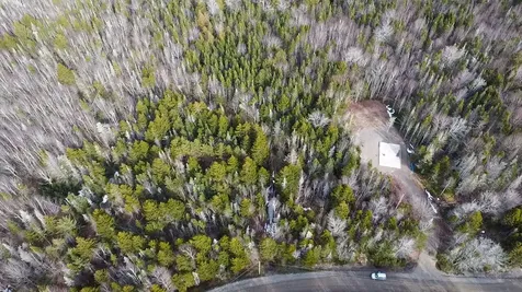 Lot #14 Pidgeon Point Road Whiting ME 04691