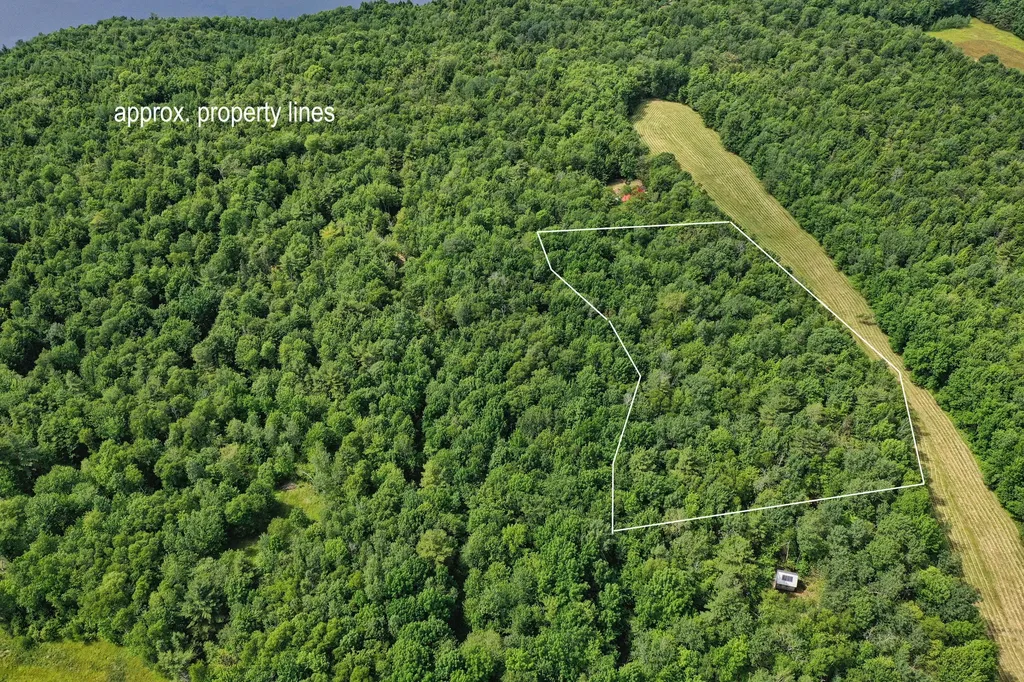 M5 L24 Goosepecker Ridge Montville ME 04941
