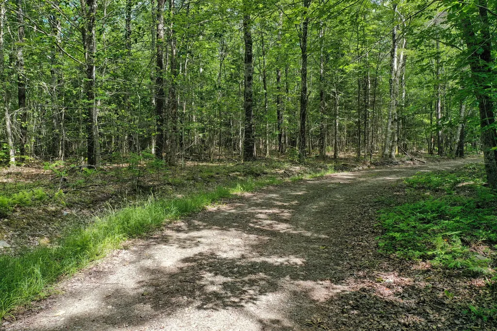 M5 L24 Goosepecker Ridge Montville ME 04941