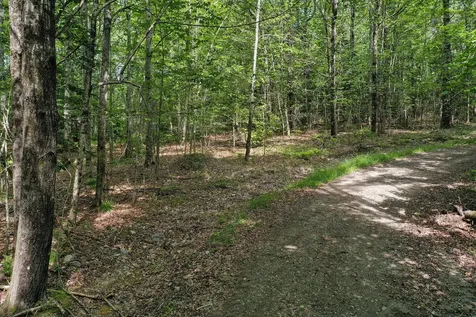 M5 L24 Goosepecker Ridge Montville ME 04941