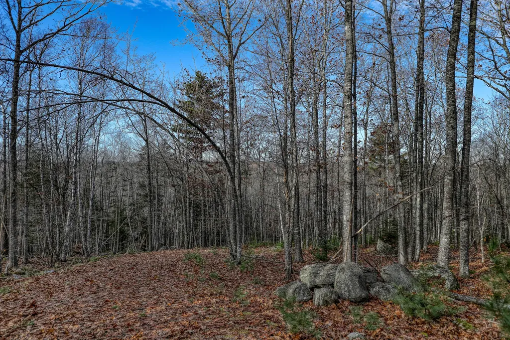 005 Newbury Neck Road Surry ME 04684