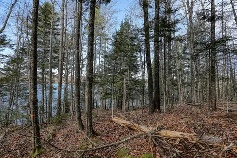 005 Newbury Neck Road Surry ME 04684