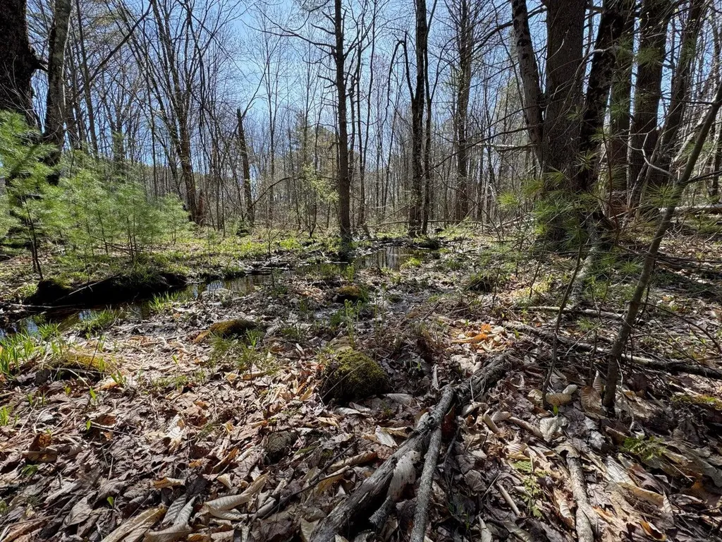 0 Scarlet Way Lebanon ME 04027