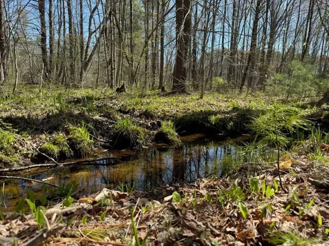 0 Scarlet Way Lebanon ME 04027