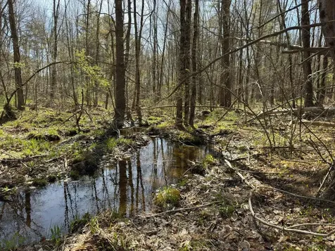 0 Scarlet Way Lebanon ME 04027