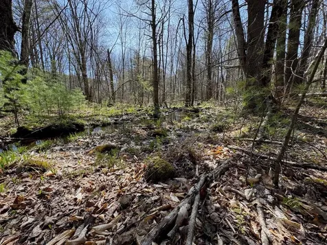 0 Scarlet Way Lebanon ME 04027
