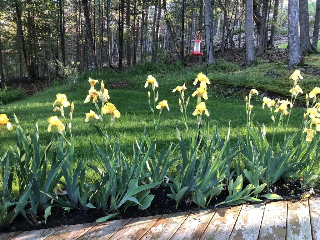 105 Cushman Point Road Wiscasset ME 04578