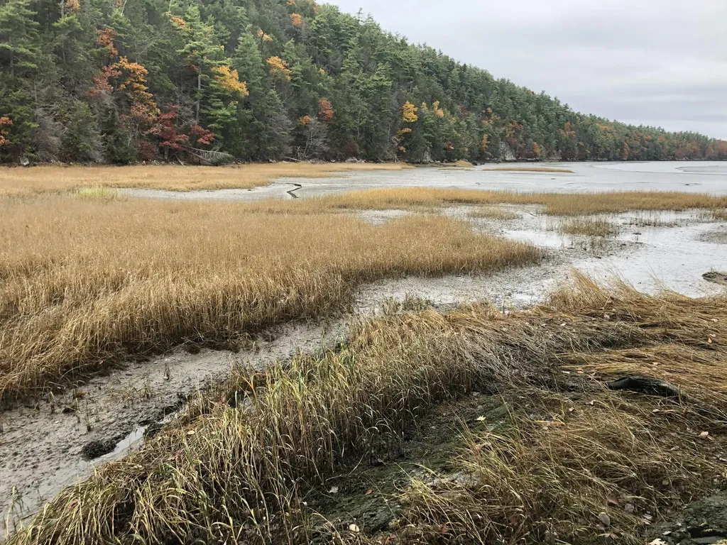 105 Cushman Point Road Wiscasset ME 04578