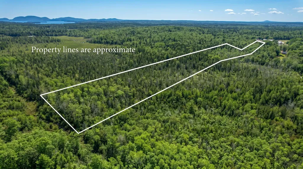 535 Bert Gray Road Sullivan ME 04664