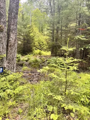 22A Pierce Pond Road Penobscot ME 04476