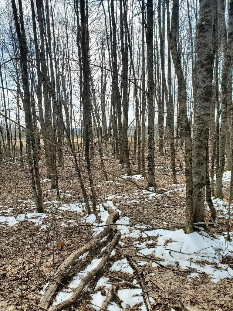0 Burough Road Dover-foxcroft ME 04426