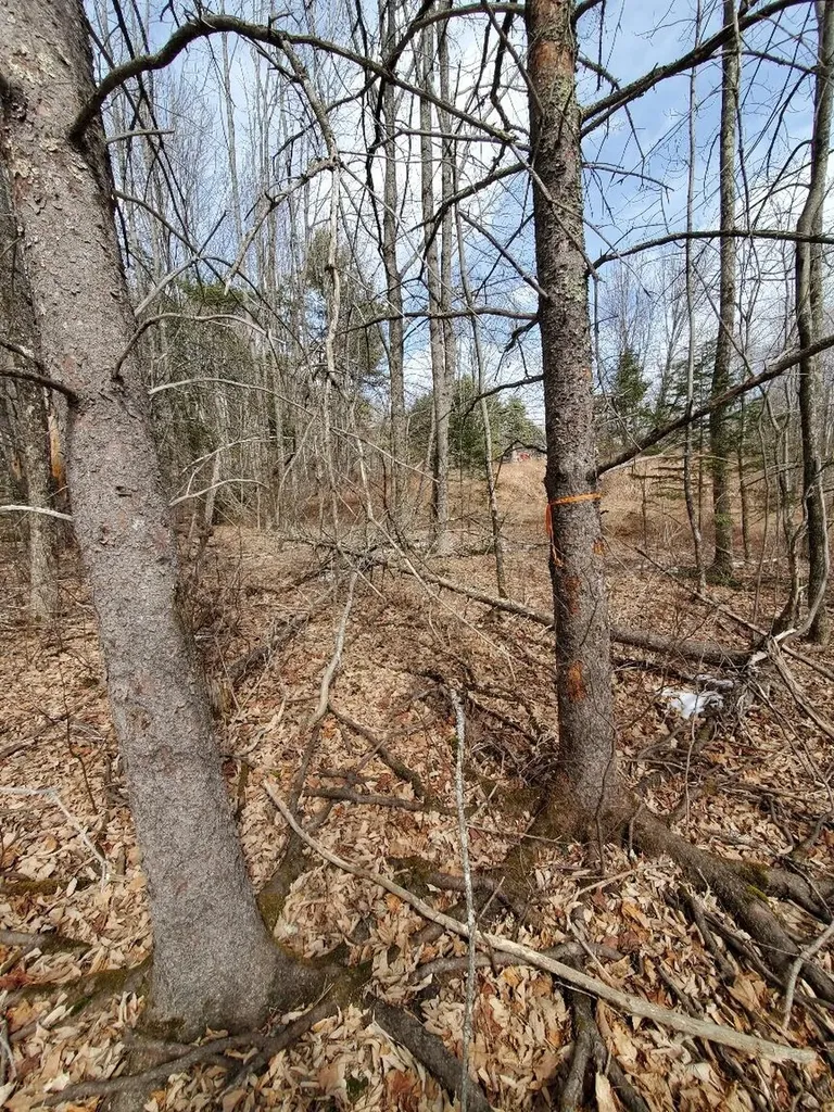 0 Burough Road Dover-foxcroft ME 04426