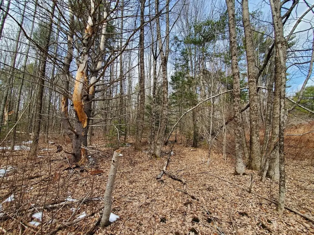 0 Burough Road Dover-foxcroft ME 04426