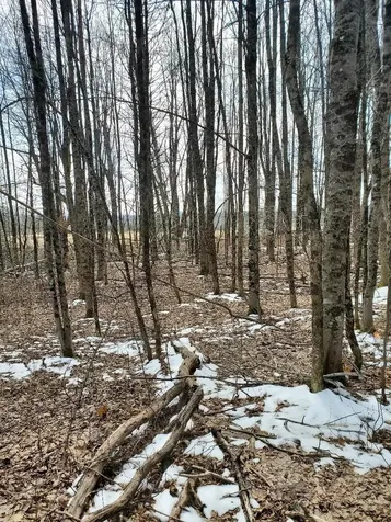 0 Burough Road Dover-foxcroft ME 04426