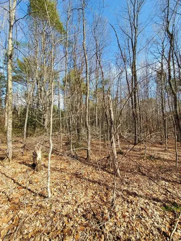 0 Burough Road Dover-foxcroft ME 04426