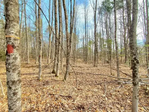 0 Burough Road Dover-foxcroft ME 04426