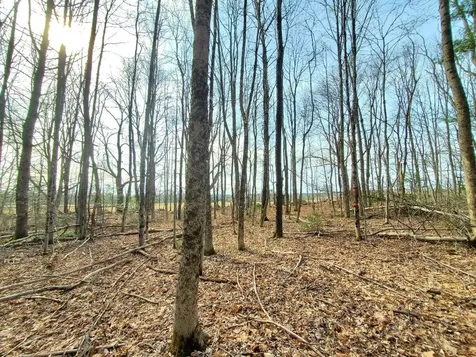 0 Burough Road Dover-foxcroft ME 04426