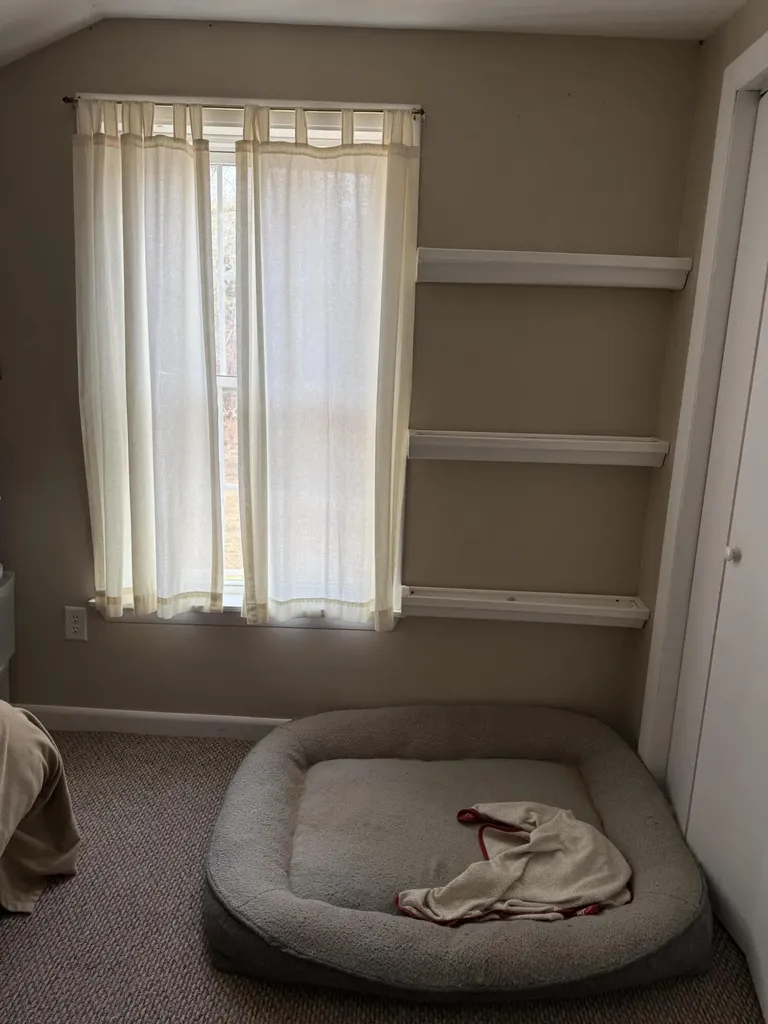 123 County Road Milford ME 04461