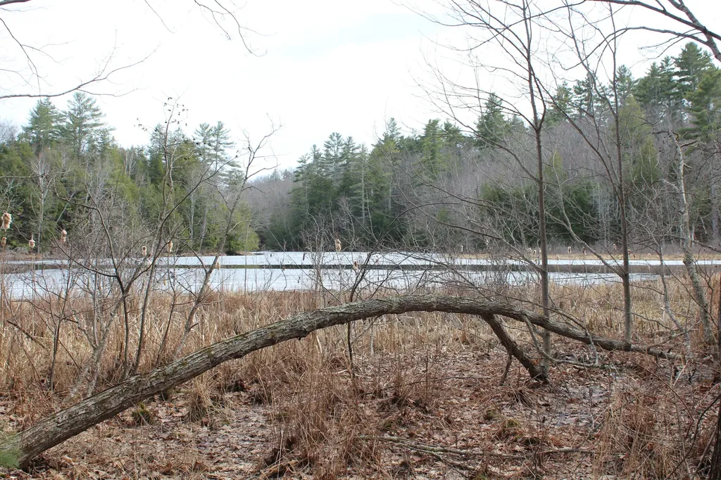 Lot 00a Knight Farm Road Kennebunk ME 04043