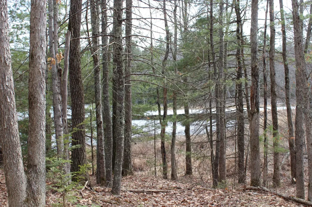 Lot 00a Knight Farm Road Kennebunk ME 04043