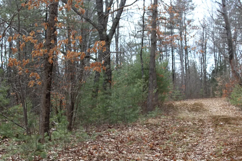 Lot 00a Knight Farm Road Kennebunk ME 04043