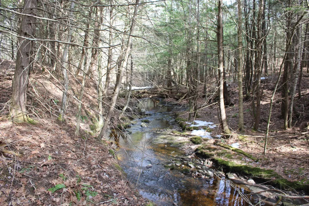 Lot 00a Knight Farm Road Kennebunk ME 04043