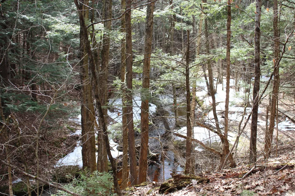 Lot 00e Knight Farm Road Kennebunk ME 04043
